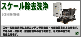 スケール洗浄